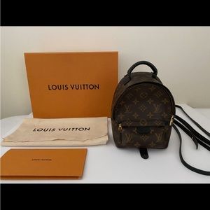 Louis Vuitton Palm Springs Mini